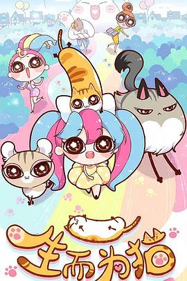 松江区专业网站优化案例